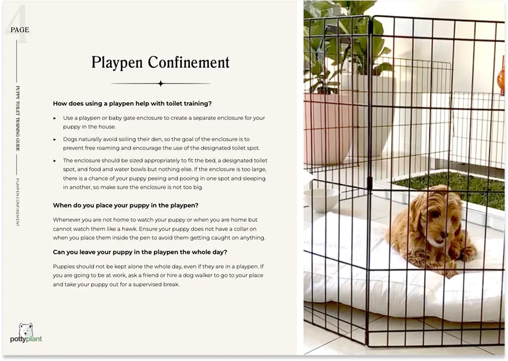 Small dog sitting on a pet-friendly grass dog loo in Australia, a natural solution for indoor dog toilet needs.